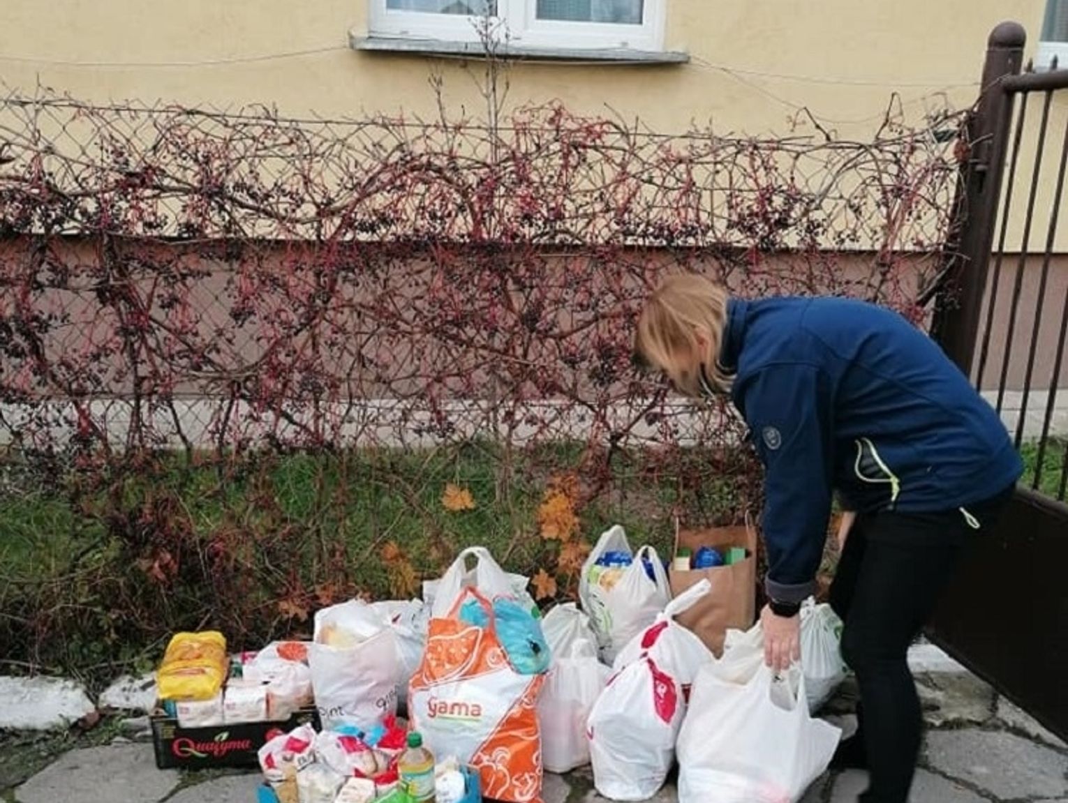 Chełm Zbiórka dla podopiecznych schroniska dla bezdomnych