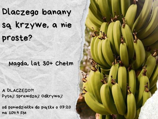 A DLACZEGO?!  Pytaj! Sprawdzaj! Odkrywaj! odc. 22.