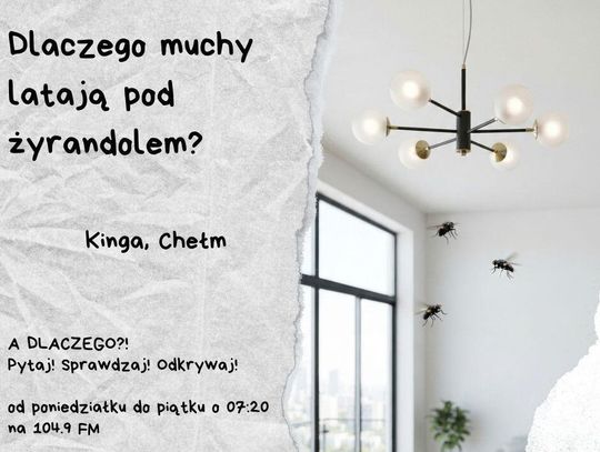 A DLACZEGO?!  Pytaj! Sprawdzaj! Odkrywaj! odc. 23.