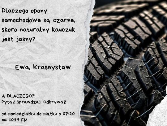 A DLACZEGO?!  Pytaj! Sprawdzaj! Odkrywaj! odc. 25.