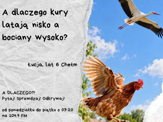 A DLACZEGO?!  Pytaj! Sprawdzaj! Odkrywaj! odc. 27.
