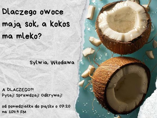 A DLACZEGO?!  Pytaj! Sprawdzaj! Odkrywaj! odc. 28.