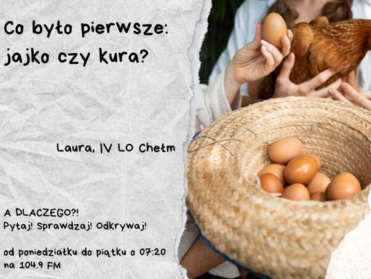 A DLACZEGO?!  Pytaj! Sprawdzaj! Odkrywaj! odc. 29.