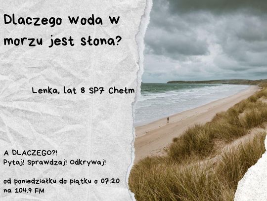 A DLACZEGO?!  Pytaj! Sprawdzaj! Odkrywaj! odc. 31.
