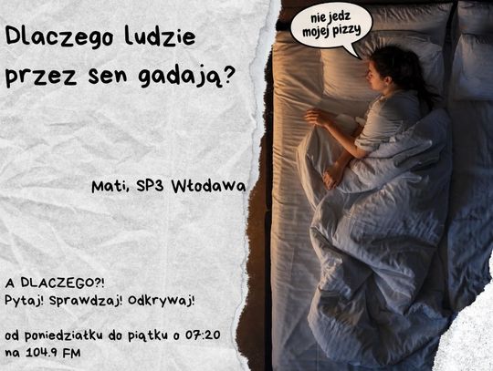 A DLACZEGO?!  Pytaj! Sprawdzaj! Odkrywaj! odc. 39.