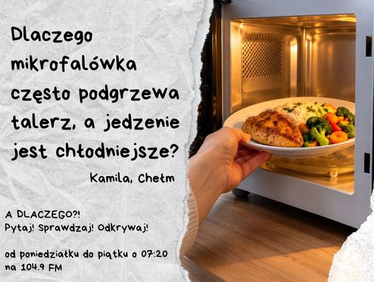 A DLACZEGO?!  Pytaj! Sprawdzaj! Odkrywaj! odc. 41.