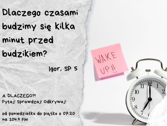 A DLACZEGO?!  Pytaj! Sprawdzaj! Odkrywaj! odc. 6.