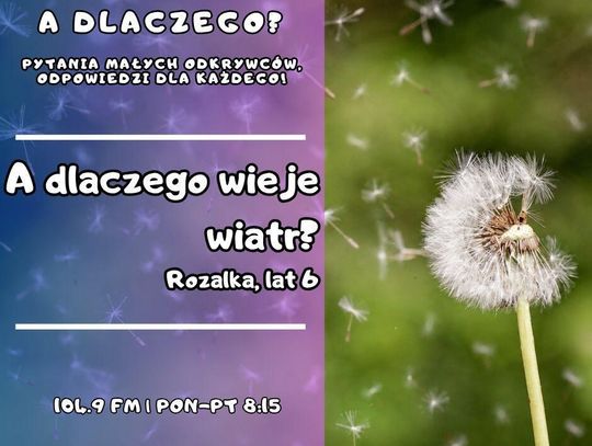 A dlaczego? Pytania małych odkrywców, odpowiedzi dla każdego! odc. 11.