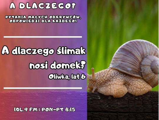 A dlaczego? Pytania małych odkrywców, odpowiedzi dla każdego! odc. 14.