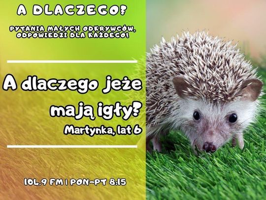 A dlaczego? Pytania małych odkrywców, odpowiedzi dla każdego! odc. 17.