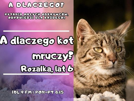 A dlaczego? Pytania małych odkrywców, odpowiedzi dla każdego! odc. 20.