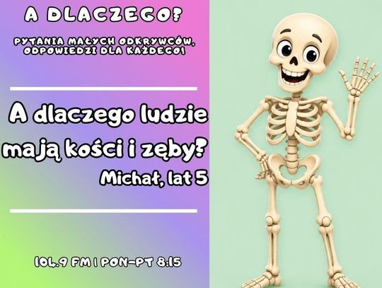 A dlaczego? Pytania małych odkrywców, odpowiedzi dla każdego! odc. 26