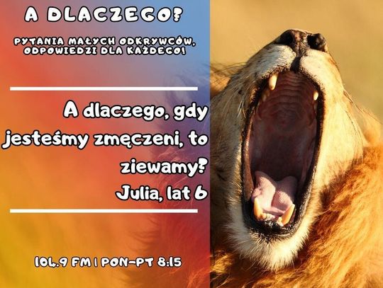 A dlaczego? Pytania małych odkrywców, odpowiedzi dla każdego! odc. 28.