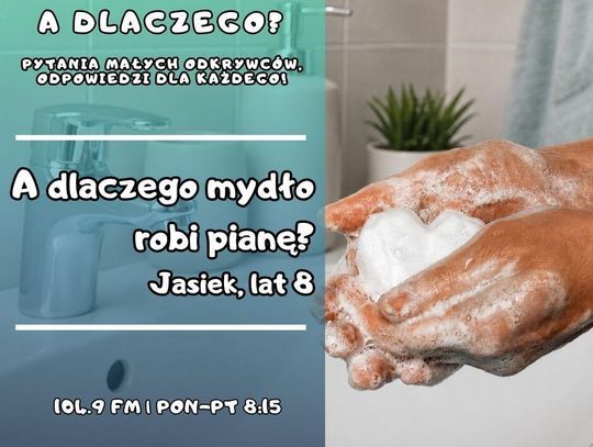 A dlaczego? Pytania małych odkrywców, odpowiedzi dla każdego! odc. 29.