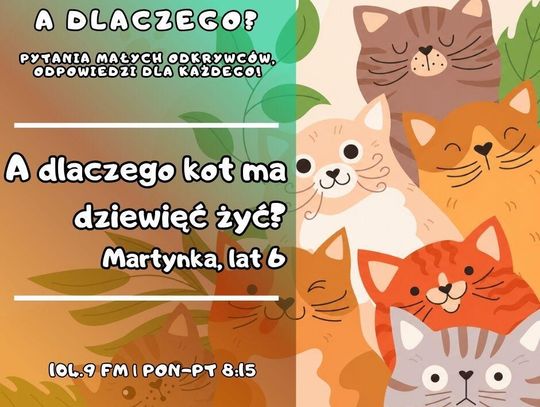 A dlaczego? Pytania małych odkrywców, odpowiedzi dla każdego! odc.30