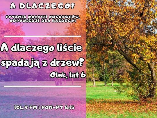 A dlaczego? Pytania małych odkrywców, odpowiedzi dla każdego! odc. 39.