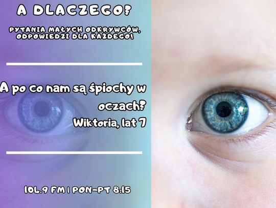 A dlaczego? Pytania małych odkrywców, odpowiedzi dla każdego! (odc. 7.)