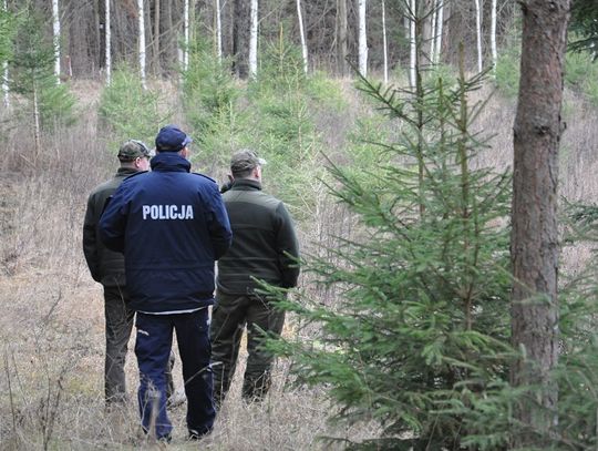 Akcja "Choinka" - Straż leśna wzmaga czujność przed świętami.