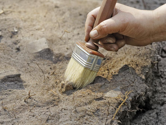 Archeolodzy wracają na chełmską górkę.