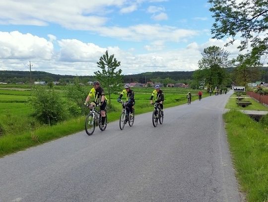Chełm: Będą nowe ścieżki rowerowe