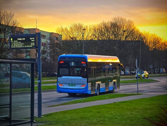 Chełm bez wodoru. Zawieszono kursowanie dziewięciu linii autobusowych