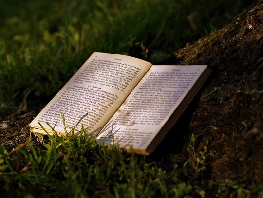 Chełm: Biblioteka zdobyła fundusze na Park Czytelnika