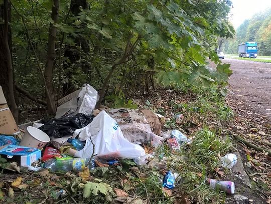 Chełm: Las Borek tonie w śmieciach