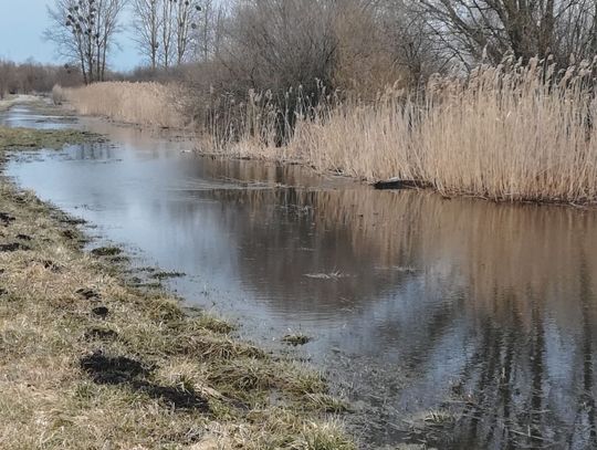 Chełm: Operacja Czysta Rzeka 2021. Posprzątaj Uherkę z Werwą!