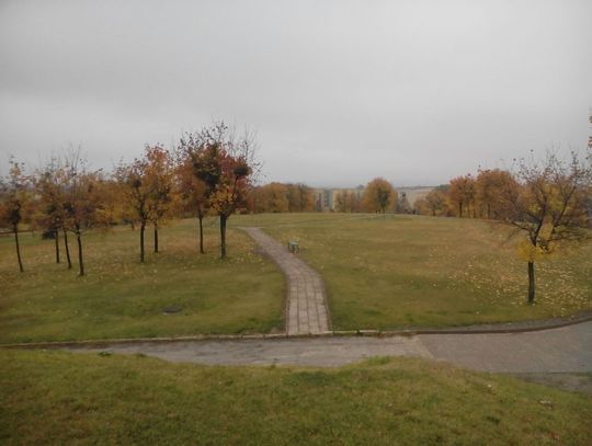 Chełm: Park Międzyosiedlowy czekają zmiany