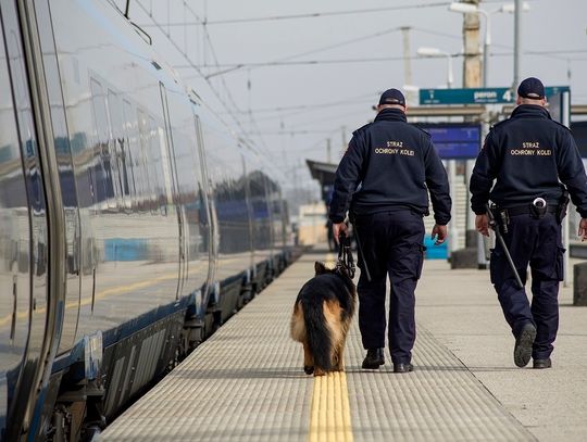 Chełm: Pies służbowy Straży Ochrony Kolei uratował życie 24-latka