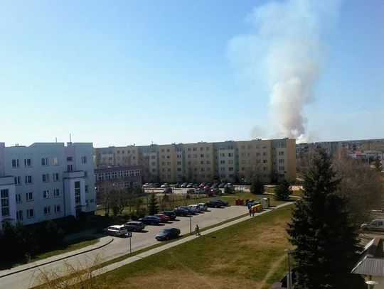 Chełm: Płonął rezerwat przyrody Sobowice