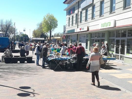 Chełm: Stowarzyszenie WeRwA domaga się uregulowania zasad handlu i likwidacji straganów w centrum