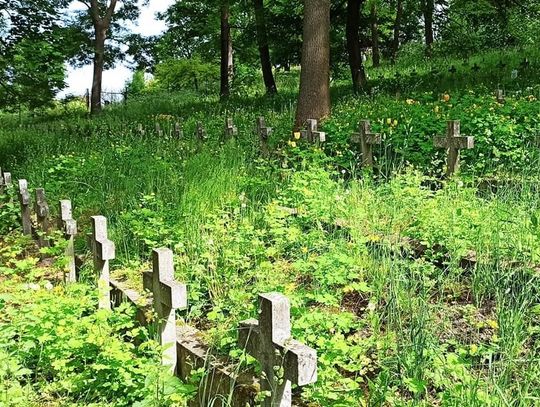 Chełm: W mieście jak w dżungli - mieszkańcy skarżą się na zarośnięte trawniki i krzaki