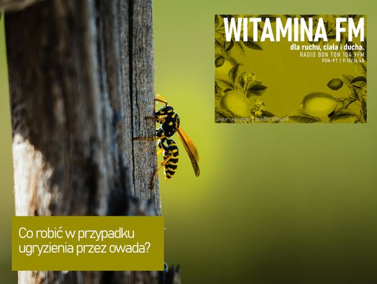 Co robić w przypadku ugryzienia przez owada? - Witamina FM