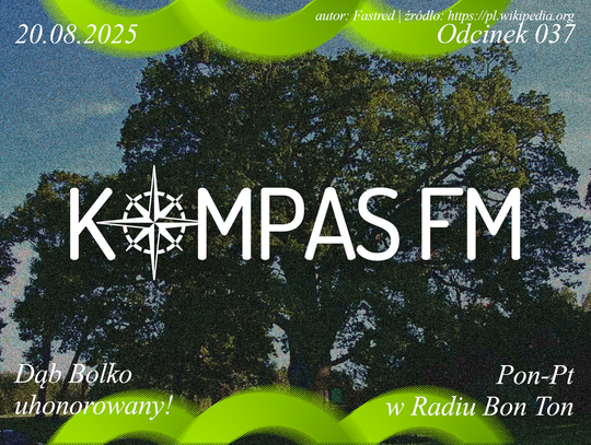 Dąb Bolko uhonorowany - Kompas FM