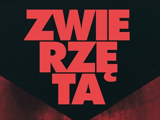 DKF Rewers - Zwierzęta, reż. Greg Zgliński, gość: Greg Zgliński