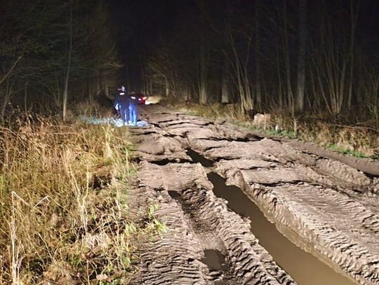 Dramatyczny finał podróży. Nawigacja zawiodła, matka z dziećmi utknęła w lesie