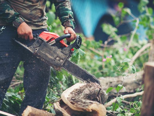 Gm. Ruda-Huta. Karolinów czeka na drogę i usunięcie niebezpiecznych zarośli. Na sesji zgłoszono również kilka innych problemów.