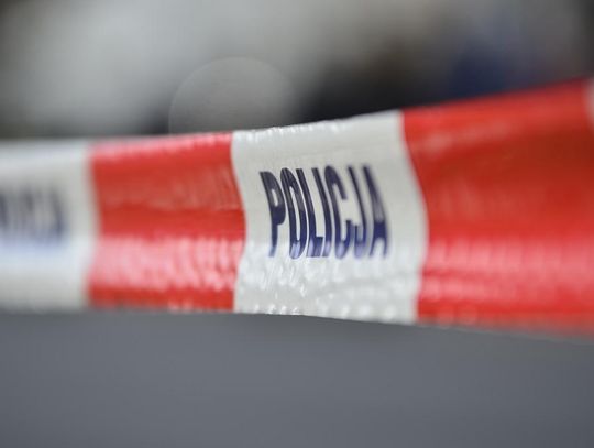 Gm. Siedliszcze: Ludzkie szczątki znalezione w lesie