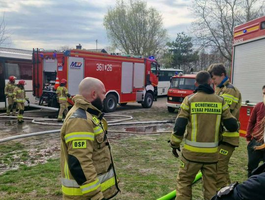 Groźny pożar w gminie Dorohusk. Płonęła hala i sześć pojazdów [ZDJĘCIA]