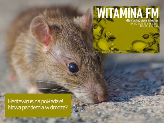 Hantawirus na pokładzie! Nowa pandemia w drodze? - Witamina FM