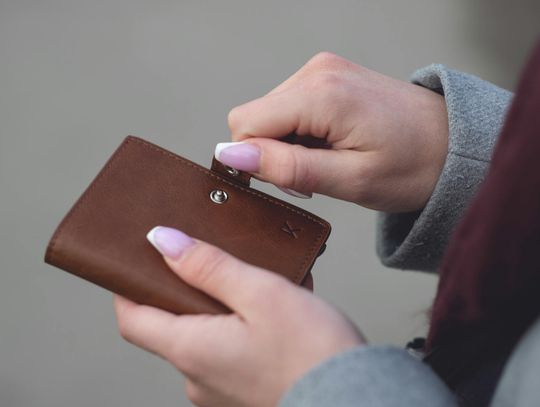 Jak wybrać portfele damskie Peterson ? Przewodnik dla klientów