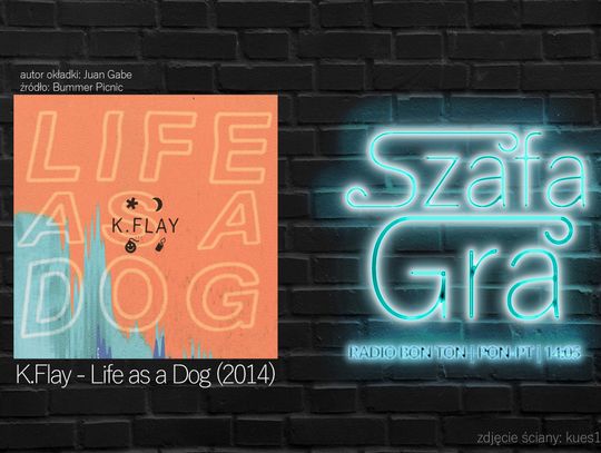 K.Flay - Life as a Dog (2014) | SZAFA GRA