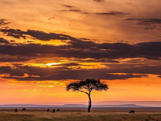 Kenia czy Mozambik – gdzie pojechać na egzotyczne wakacje w Afryce