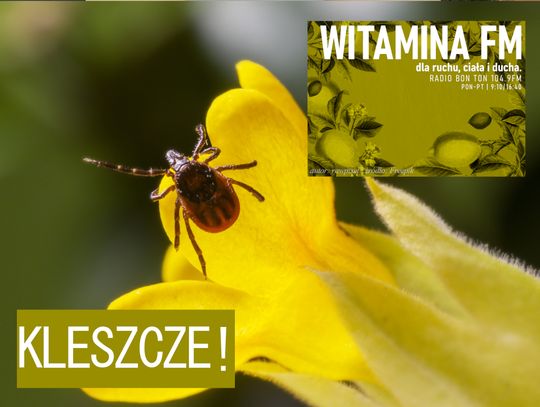 KLESZCZE! - Witamina FM