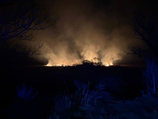 Krasnystaw. Płonęło 30 hektarów nieużytków