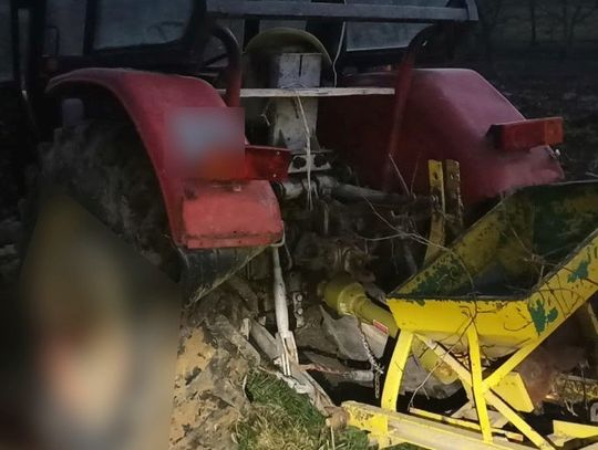Krasnystaw: Wypadki podczas wycinki drzew - pijany 31-latek stracił rękę