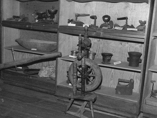 Regał z eksponatami w Muzeum Ziemi Iłżeckiej