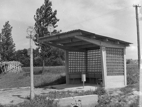 Przystanek autobusowy PKS we wsi Trzyrzecze.