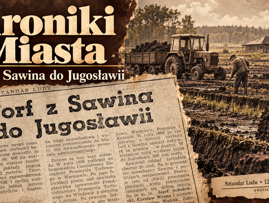 Zdjęcie ilustracyjne